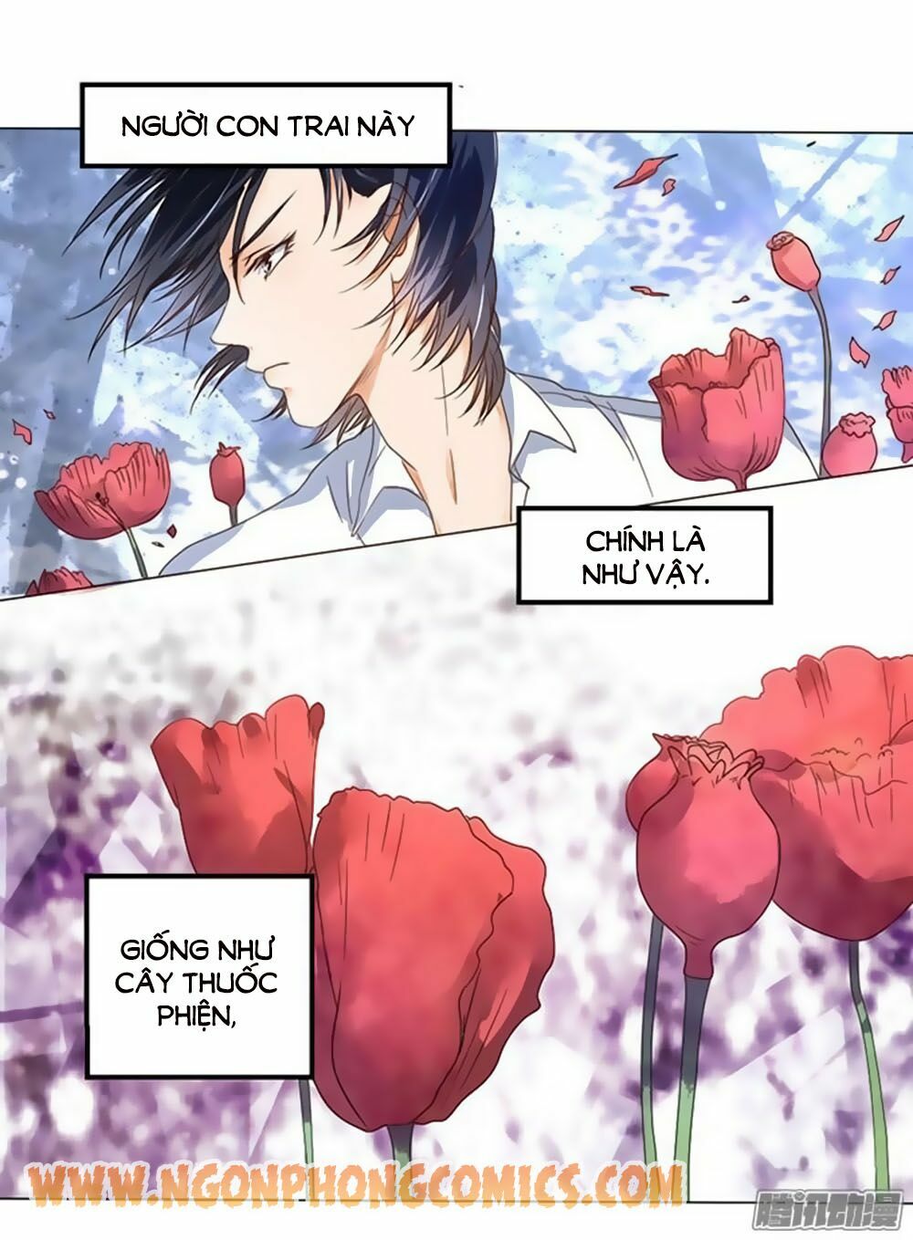 Bác Sĩ Sở Cũng Muốn Yêu: Chapter 4
