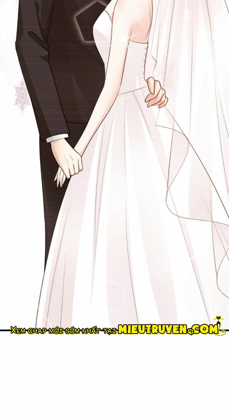 Thú cưng độc quyền của boss: Chapter 109