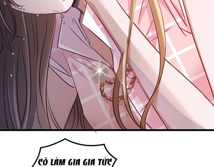 Nghiêm Tuyển Tiên Thê: Chapter 1
