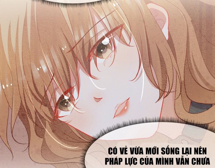 Nghiêm Tuyển Tiên Thê: Chapter 23
