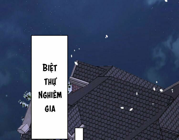 Nghiêm Tuyển Tiên Thê: Chapter 48: End