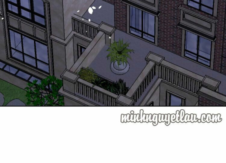 Nghiêm Tuyển Tiên Thê: Chapter 48: End