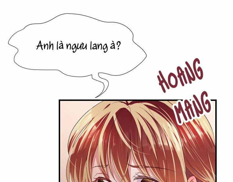 Nghiêm Tuyển Tiên Thê: Chapter 48: End