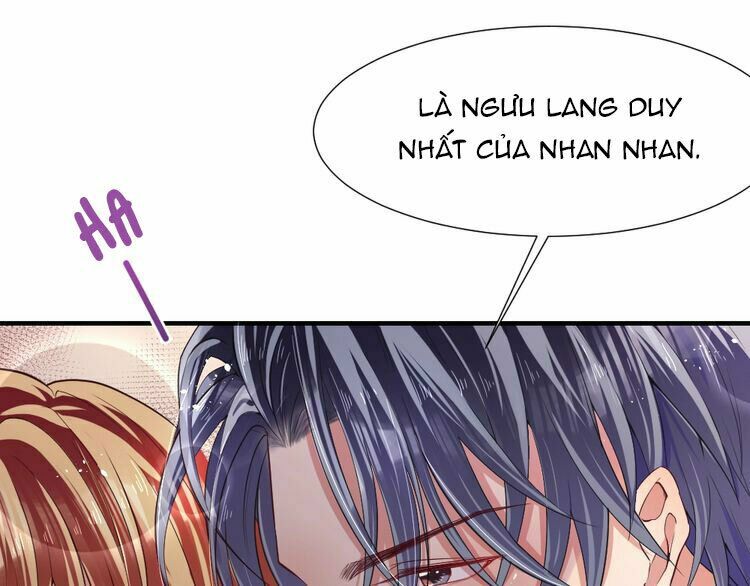 Nghiêm Tuyển Tiên Thê: Chapter 48: End