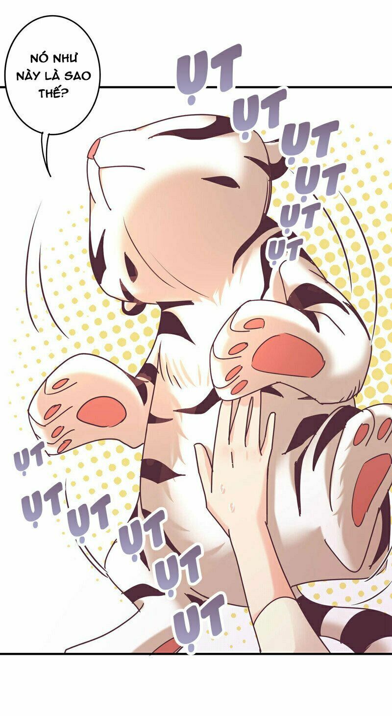 Cuồng duệ tiểu thê: Chapter 62