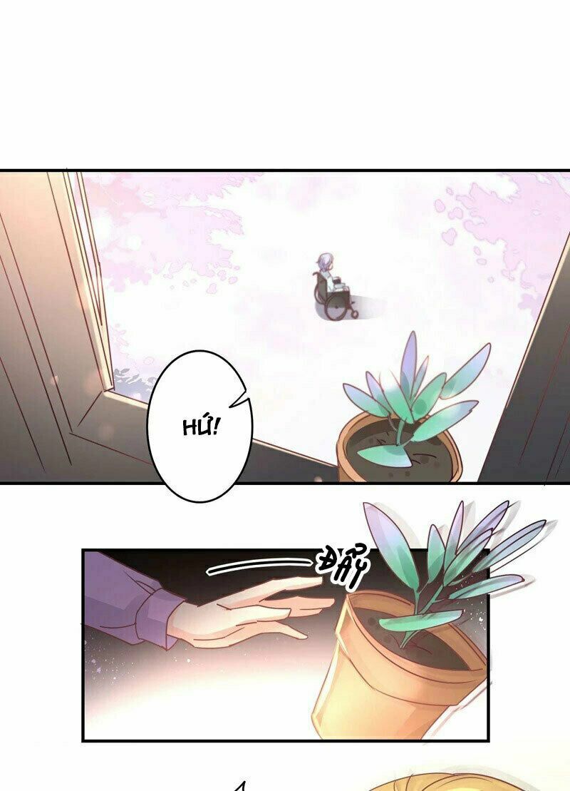 Cuồng duệ tiểu thê: Chapter 83