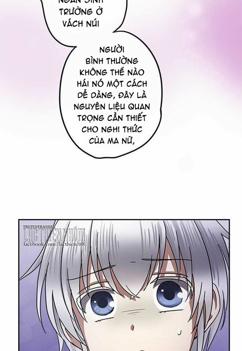 Nụ Hôn Nguyền Rủa: Chapter 104