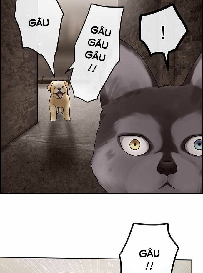 Nụ Hôn Nguyền Rủa: Chapter 28