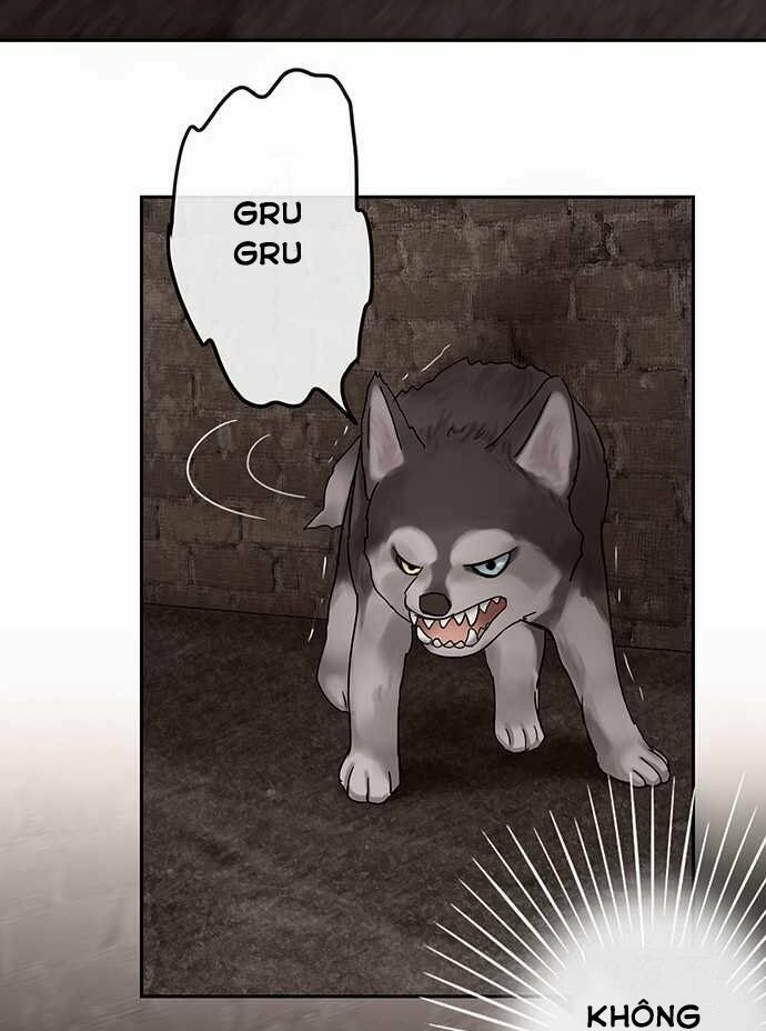 Nụ Hôn Nguyền Rủa: Chapter 28