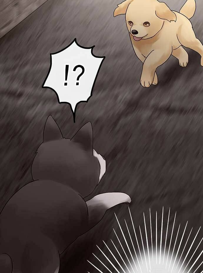 Nụ Hôn Nguyền Rủa: Chapter 28