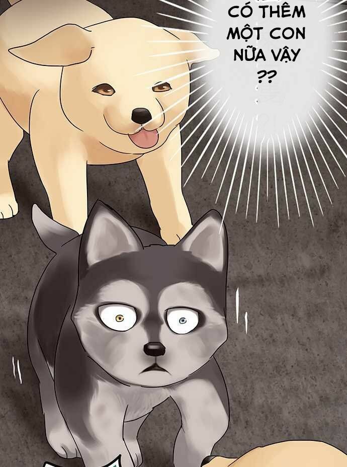 Nụ Hôn Nguyền Rủa: Chapter 28