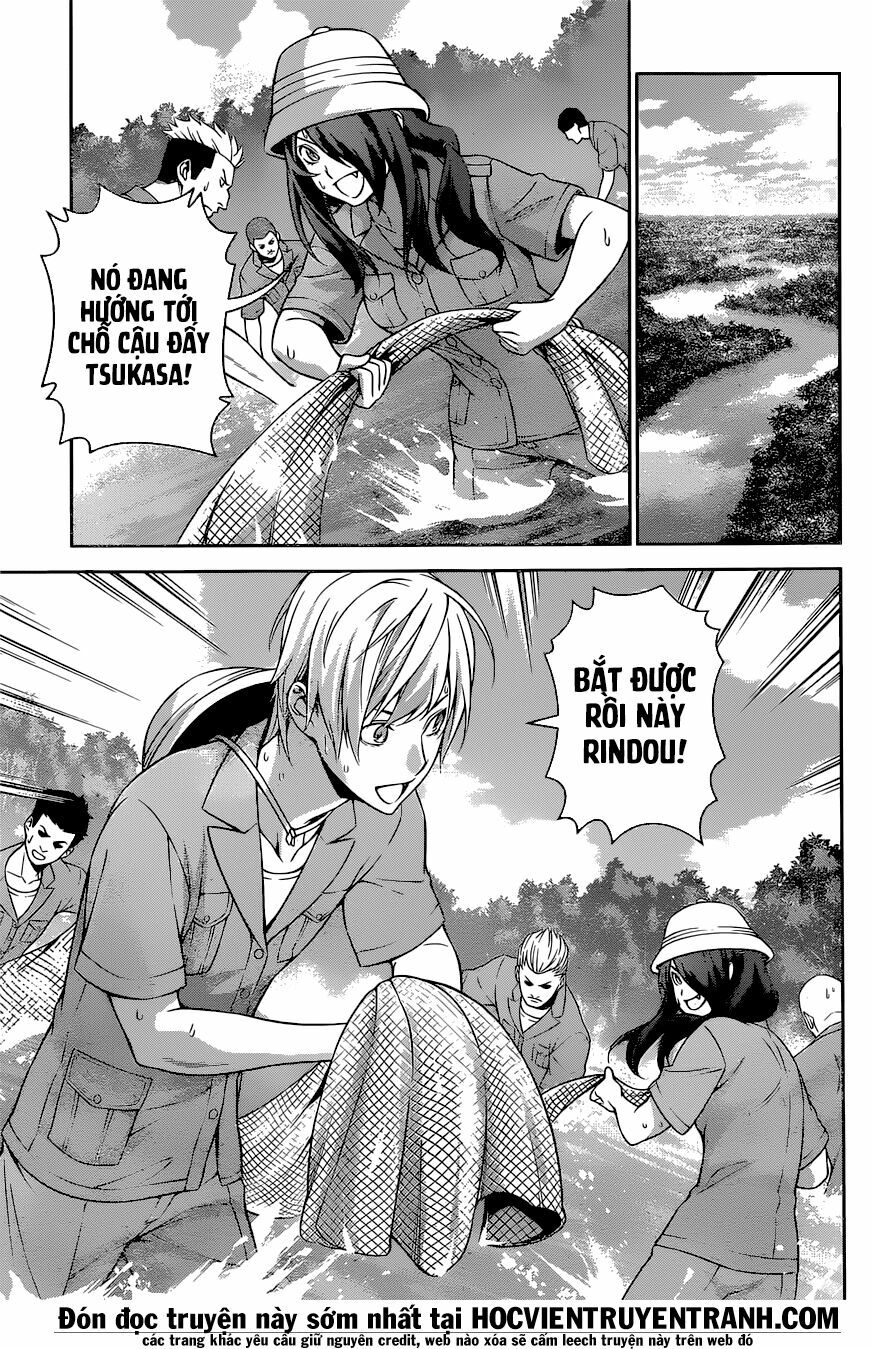 Cuộc Chiến Ẩm Thực: Chapter 264: Người gửi : Tadokoro Megumi
