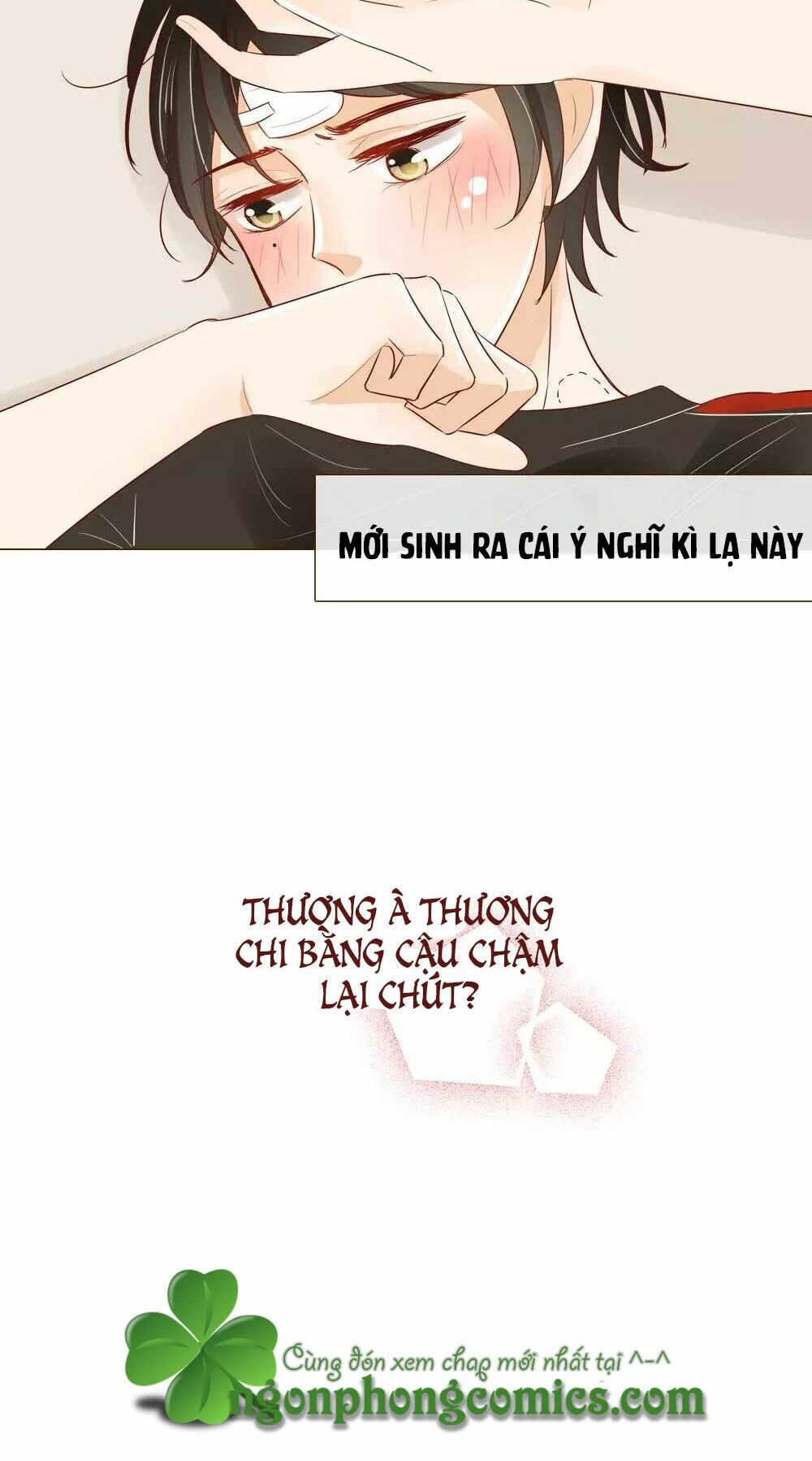Trái Tim Bí Ẩn: Chapter 27