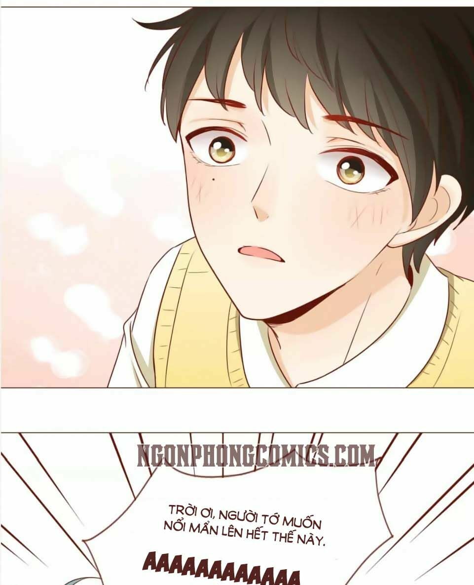 Trái Tim Bí Ẩn: Chapter 55