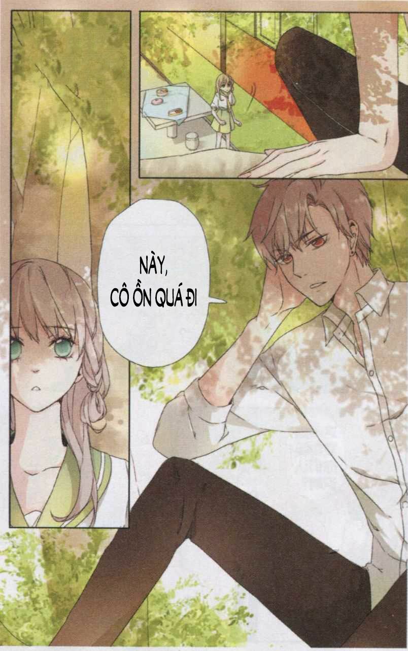 Tình yêu là màu hoa anh thảo: Chapter 1