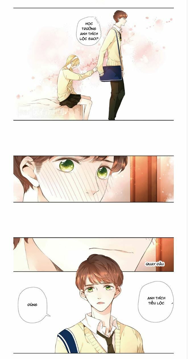 Tình yêu là màu hoa anh thảo: Chapter 14