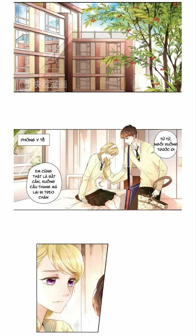 Tình yêu là màu hoa anh thảo: Chapter 14