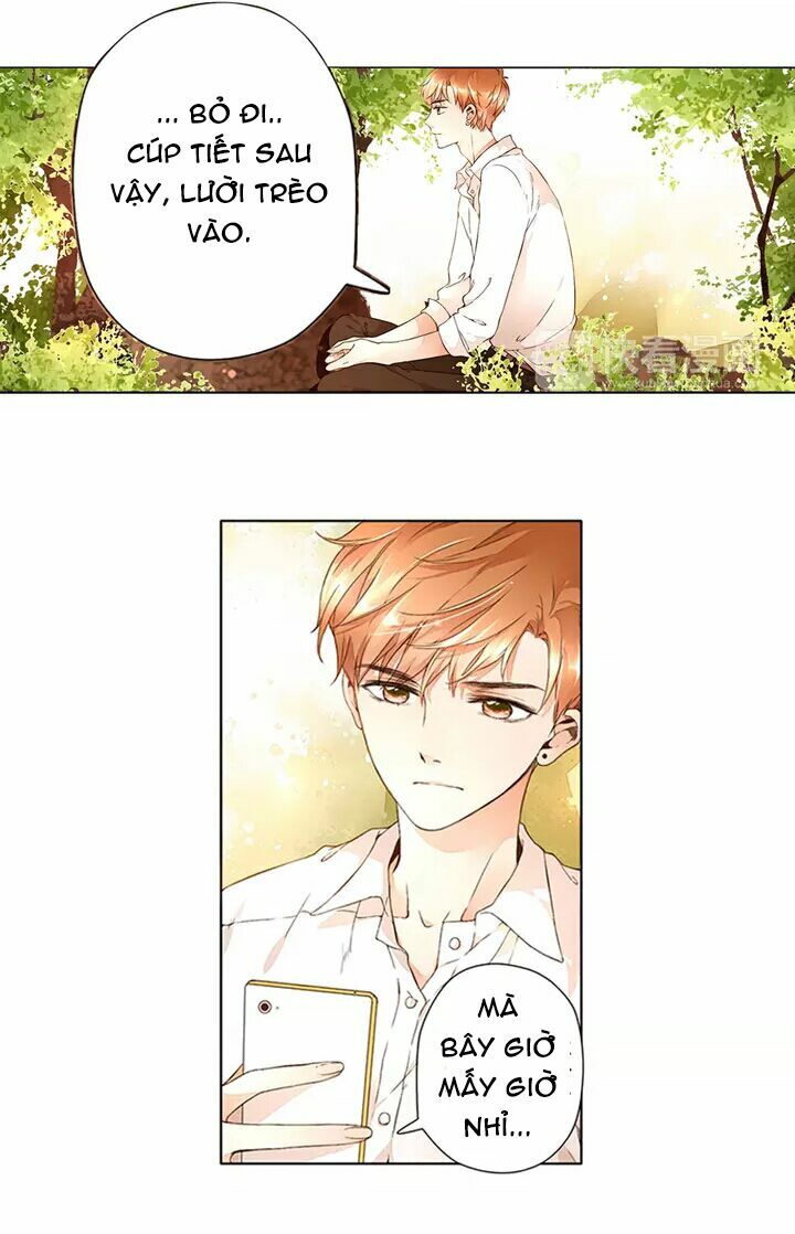 Tình yêu là màu hoa anh thảo: Chapter 15.1