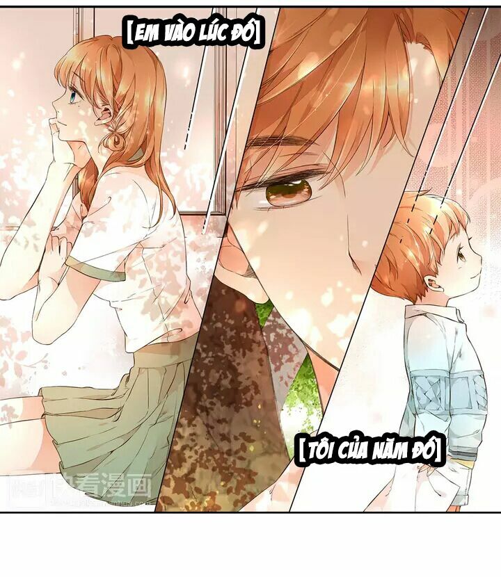 Tình yêu là màu hoa anh thảo: Chapter 15.1