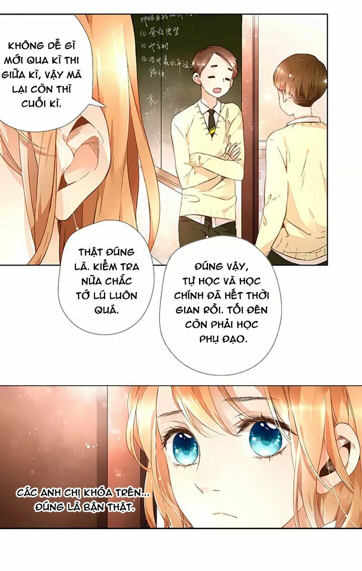 Tình yêu là màu hoa anh thảo: Chapter 16.1