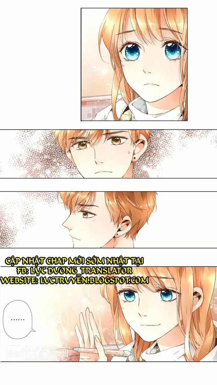 Tình yêu là màu hoa anh thảo: Chapter 16.1