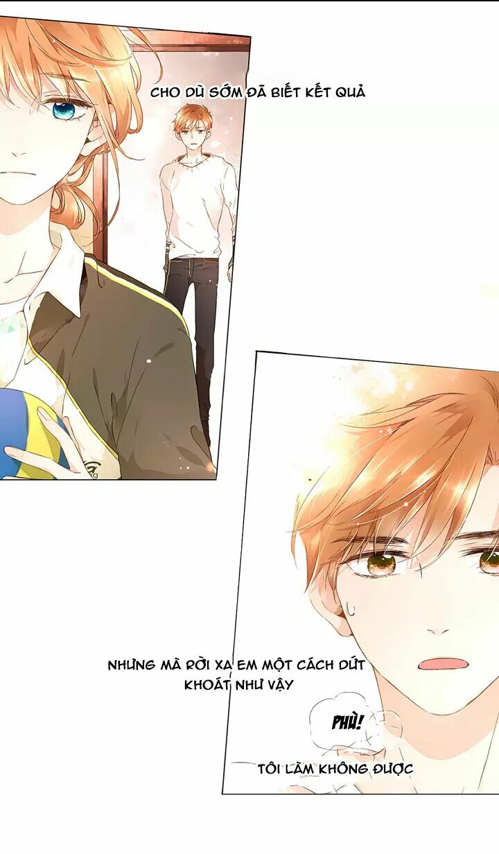 Tình yêu là màu hoa anh thảo: Chapter 16.2