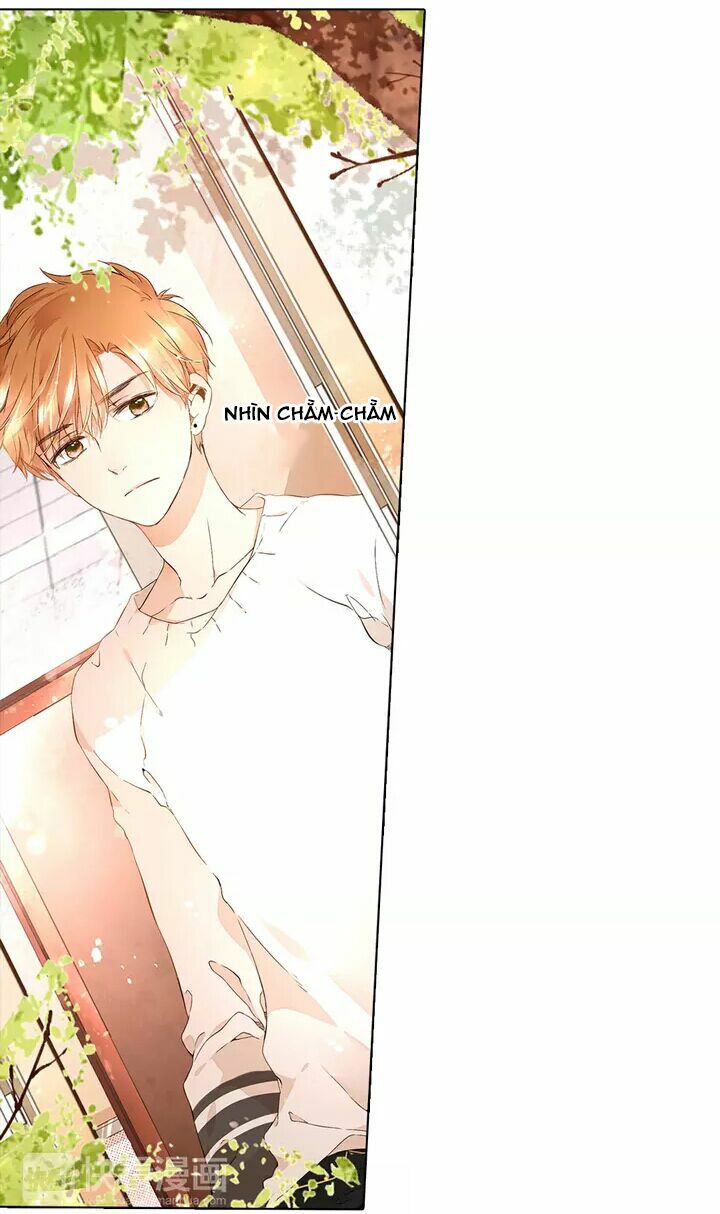 Tình yêu là màu hoa anh thảo: Chapter 16.2
