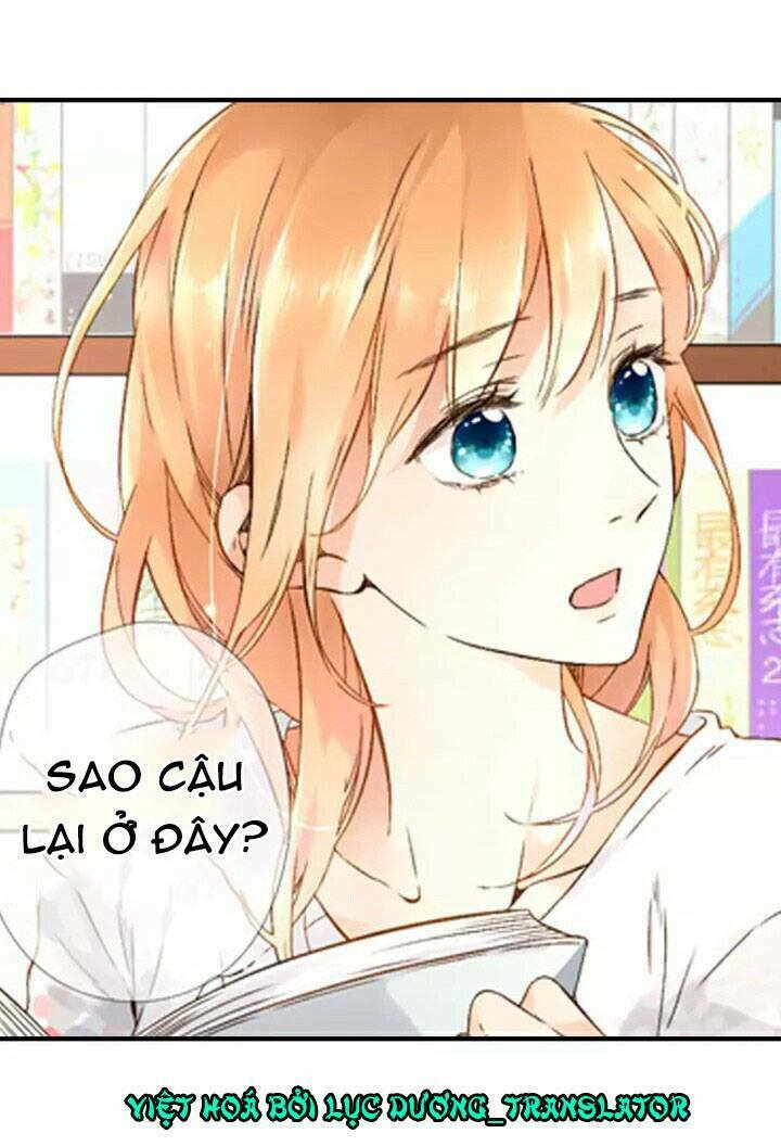 Tình yêu là màu hoa anh thảo: Chapter 18.5