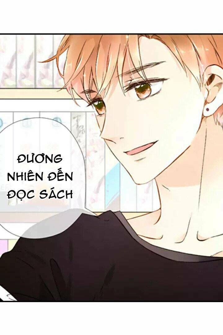 Tình yêu là màu hoa anh thảo: Chapter 18.5