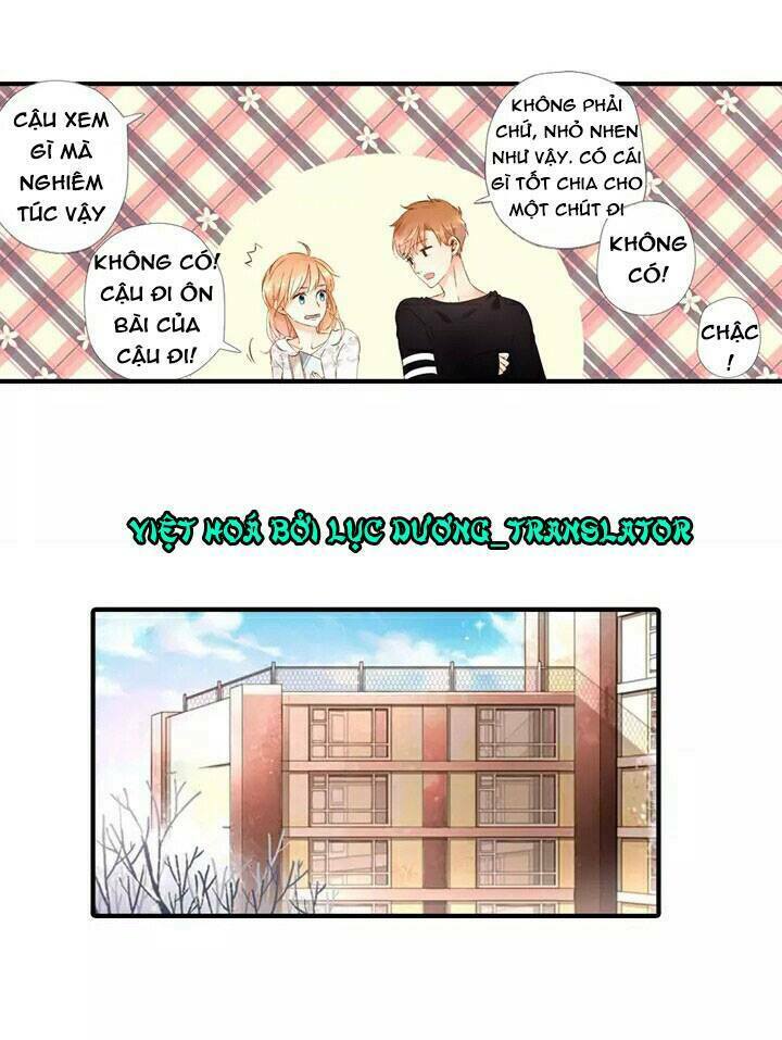 Tình yêu là màu hoa anh thảo: Chapter 18.5