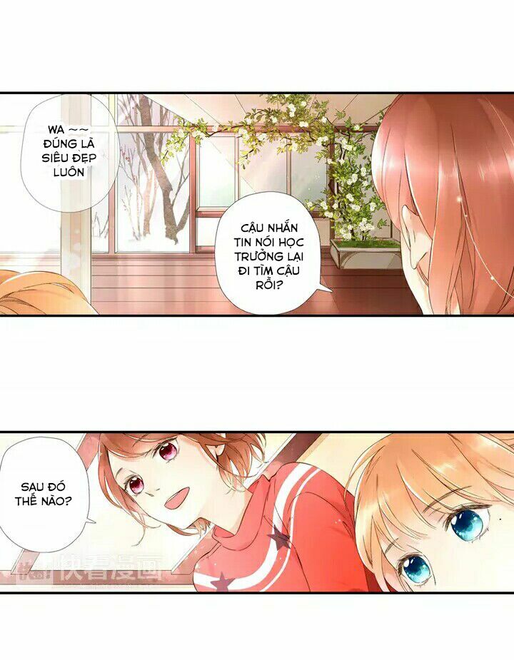 Tình yêu là màu hoa anh thảo: Chapter 19.5