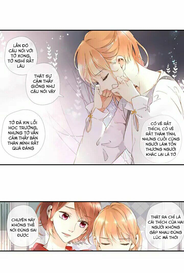 Tình yêu là màu hoa anh thảo: Chapter 19.5
