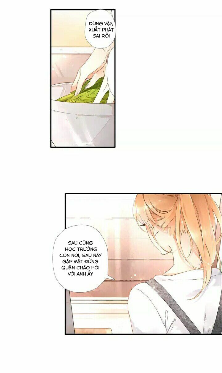 Tình yêu là màu hoa anh thảo: Chapter 19.5