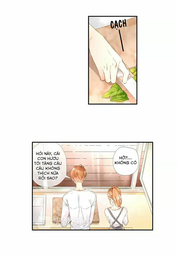 Tình yêu là màu hoa anh thảo: Chapter 19.5