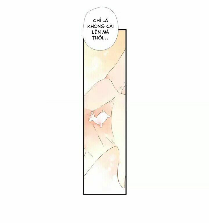 Tình yêu là màu hoa anh thảo: Chapter 19.5