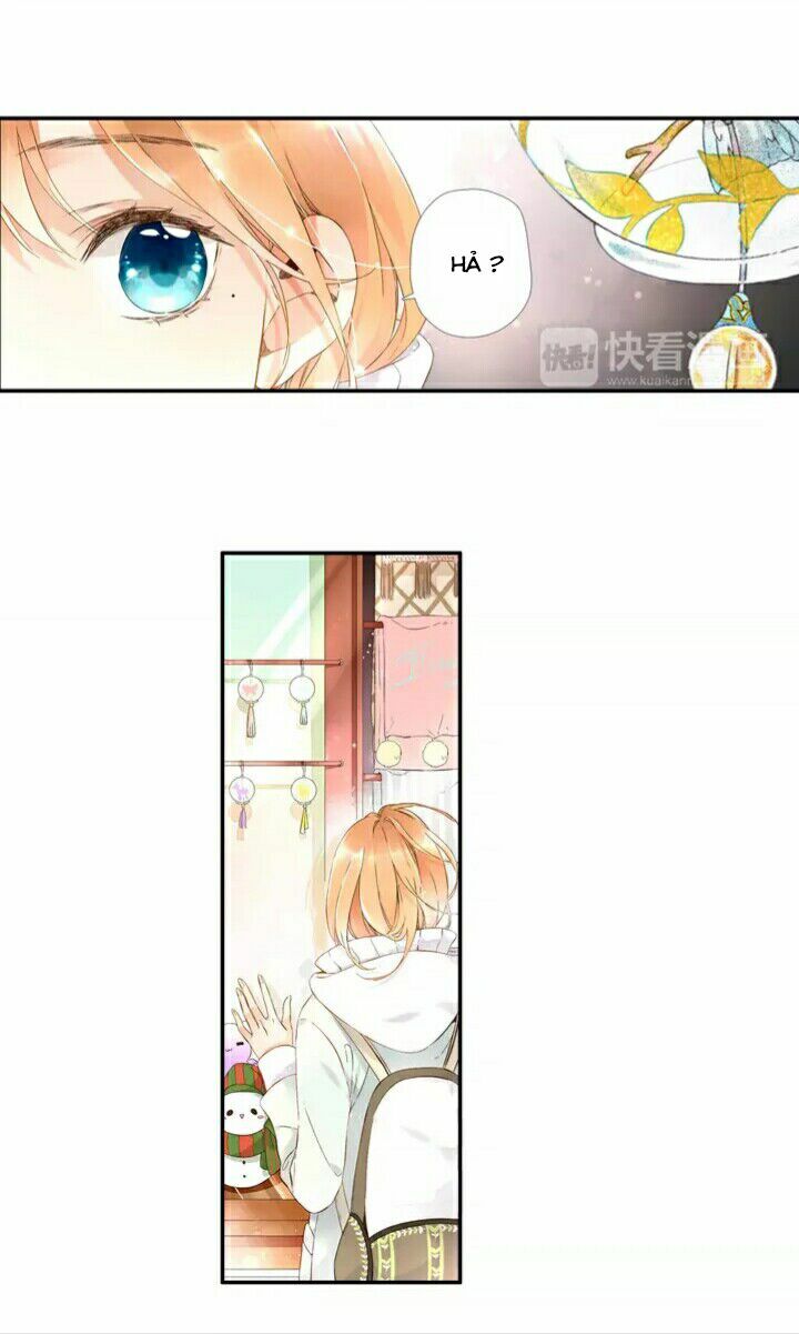 Tình yêu là màu hoa anh thảo: Chapter 19.5