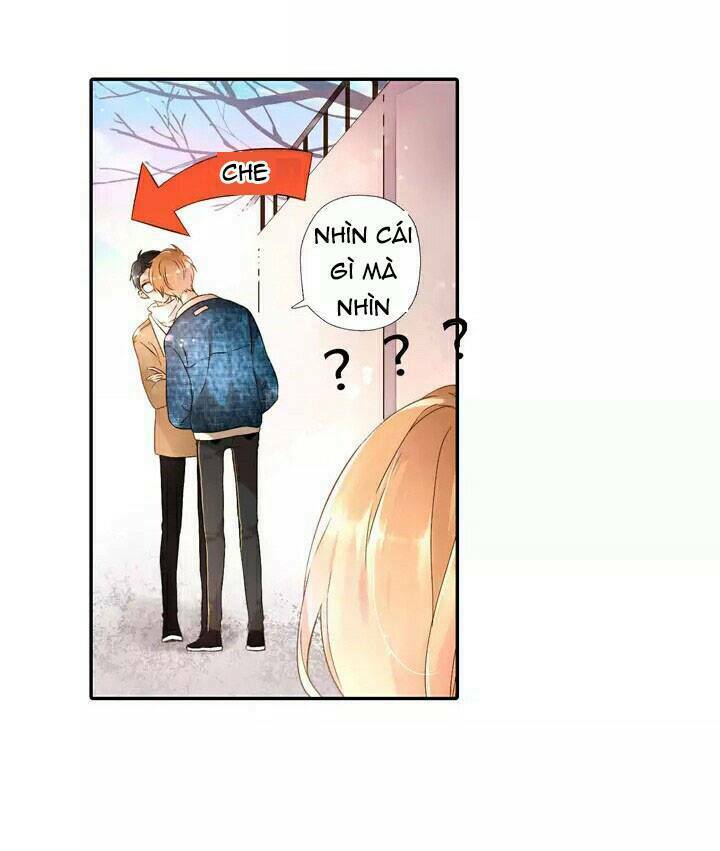 Tình yêu là màu hoa anh thảo: Chapter 19