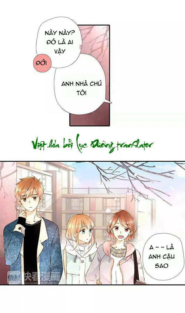 Tình yêu là màu hoa anh thảo: Chapter 19