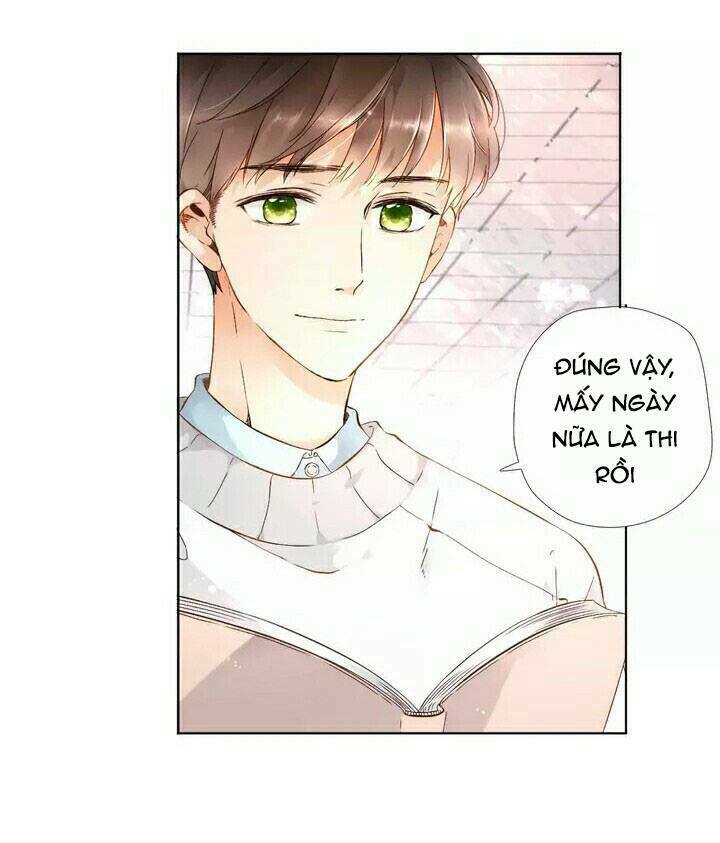Tình yêu là màu hoa anh thảo: Chapter 19