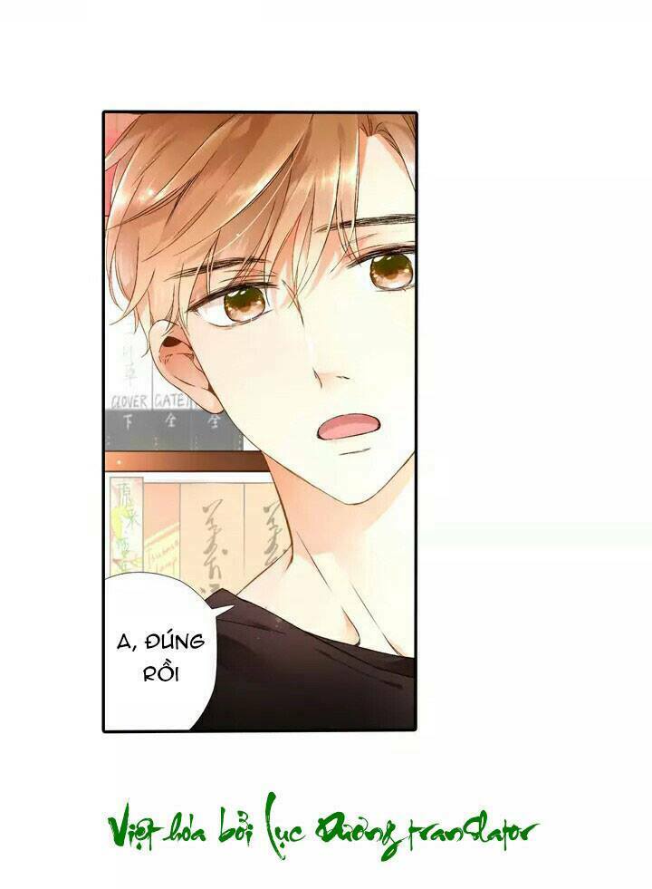Tình yêu là màu hoa anh thảo: Chapter 19