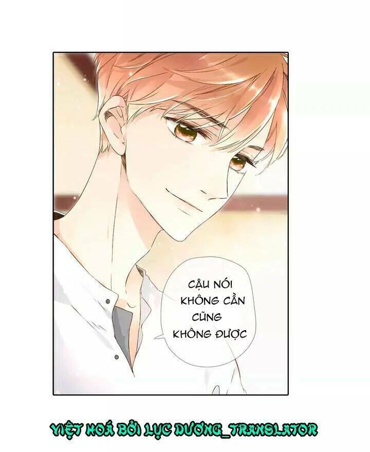 Tình yêu là màu hoa anh thảo: Chapter 20