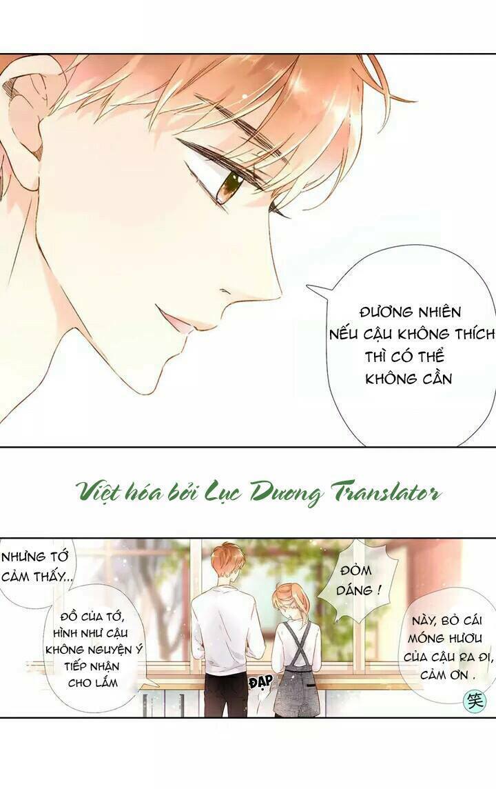 Tình yêu là màu hoa anh thảo: Chapter 20
