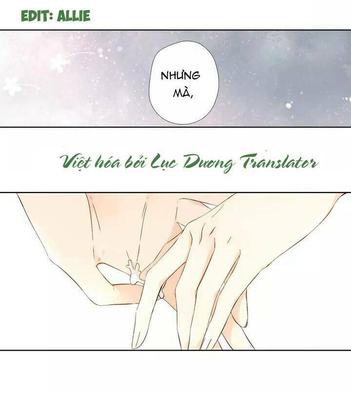 Tình yêu là màu hoa anh thảo: Chapter 20