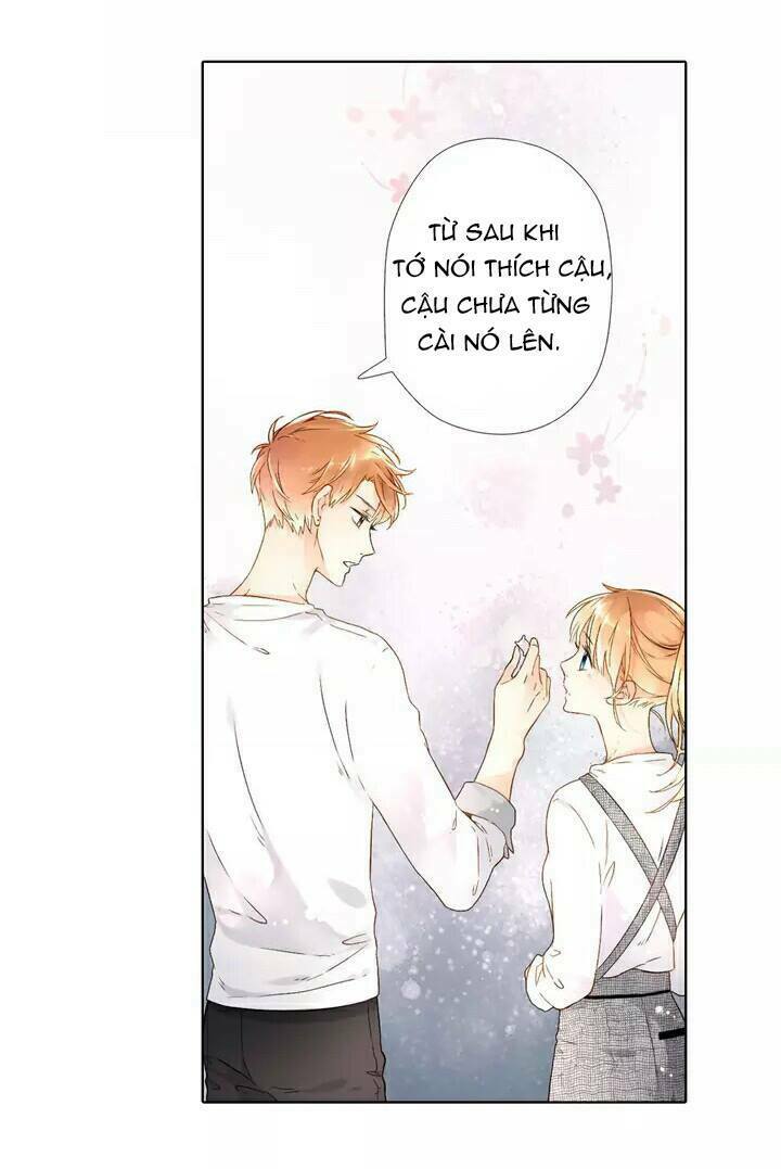 Tình yêu là màu hoa anh thảo: Chapter 20