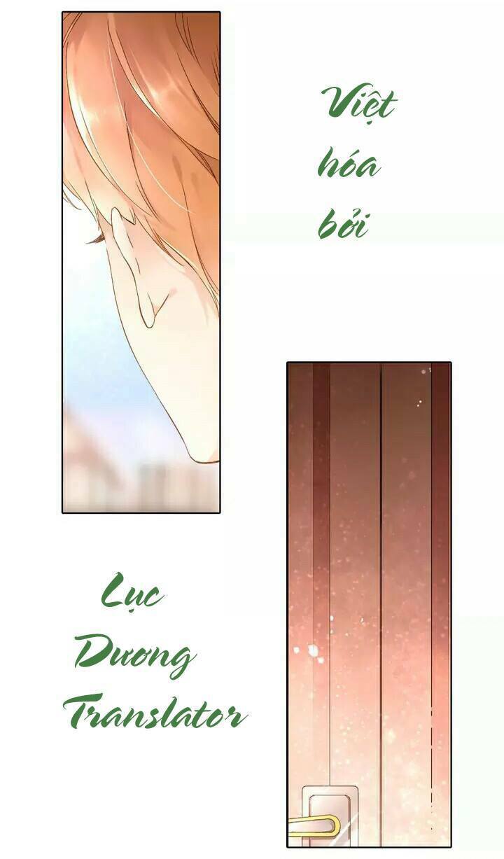 Tình yêu là màu hoa anh thảo: Chapter 20