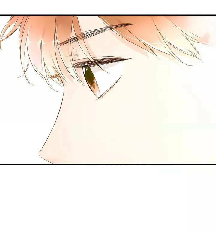 Tình yêu là màu hoa anh thảo: Chapter 22