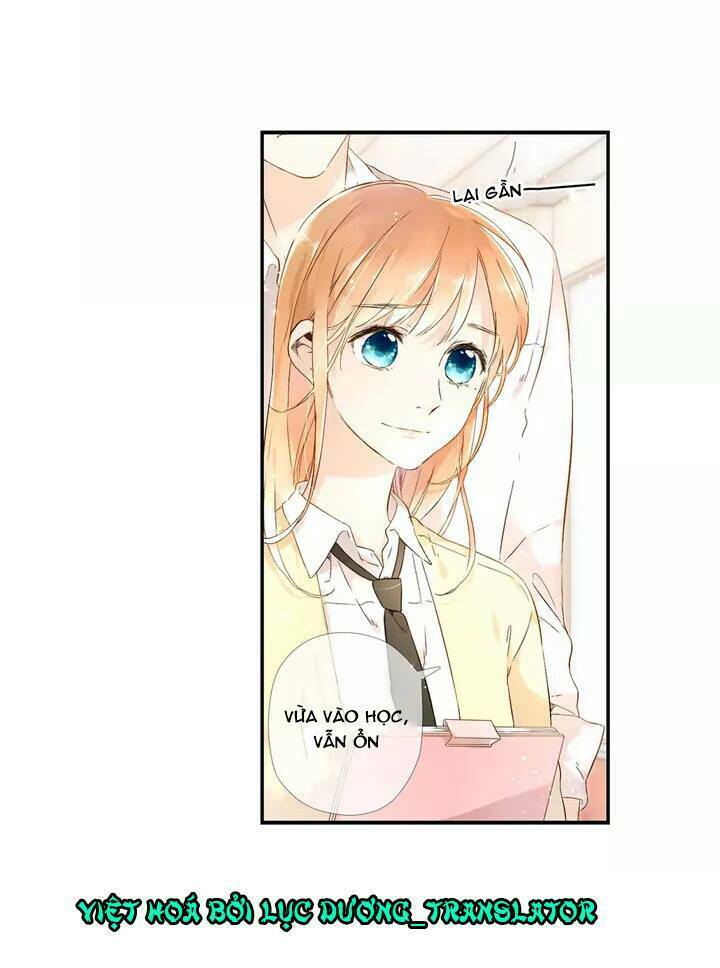 Tình yêu là màu hoa anh thảo: Chapter 22