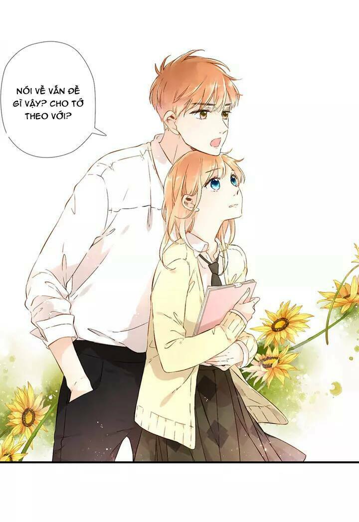 Tình yêu là màu hoa anh thảo: Chapter 22