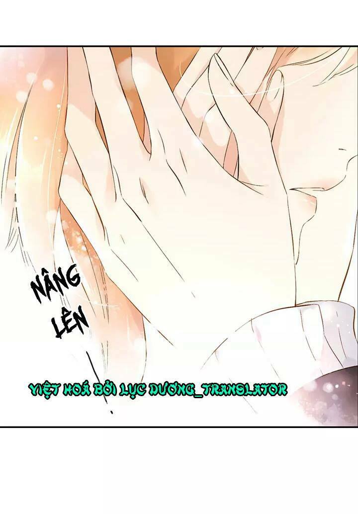 Tình yêu là màu hoa anh thảo: Chapter 22