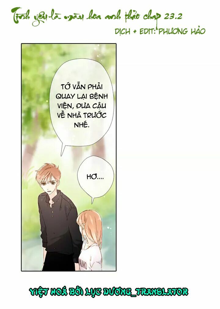 Tình yêu là màu hoa anh thảo: Chapter 23.2